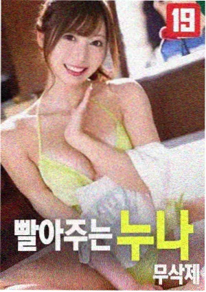 雾中风景电影海报